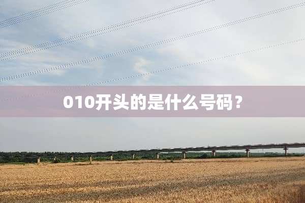 010开头的是什么号码？