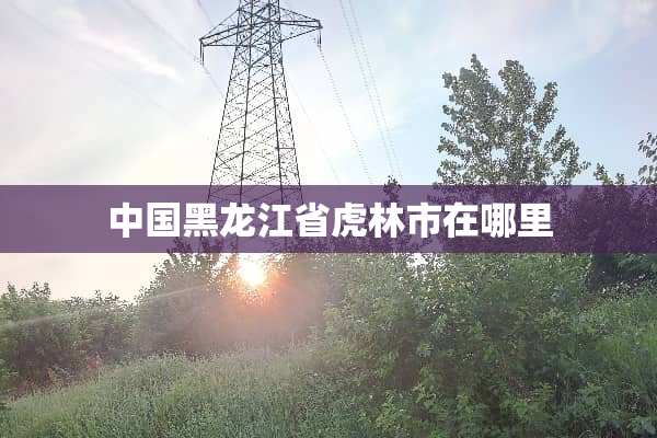 中国黑龙江省虎林市在哪里