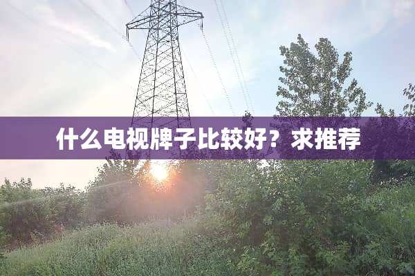 什么电视牌子比较好？求推荐