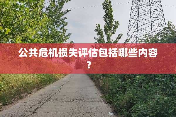 公共危机损失评估包括哪些内容？