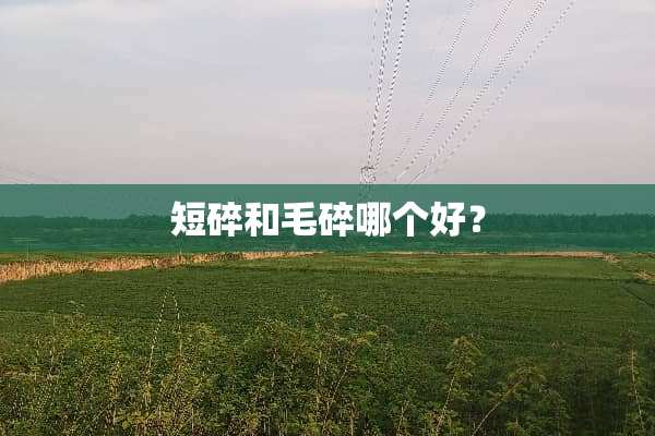 短碎和毛碎哪个好？
