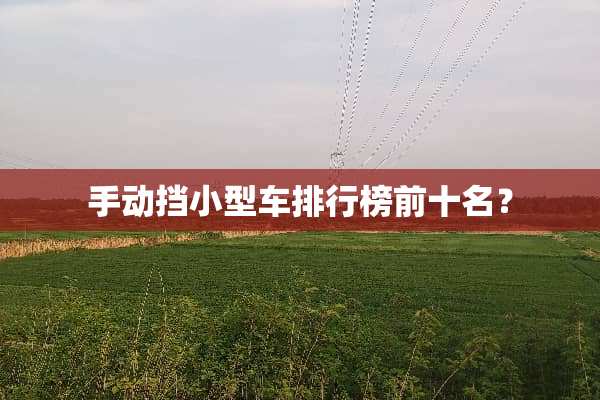 手动挡小型车排行榜前十名？