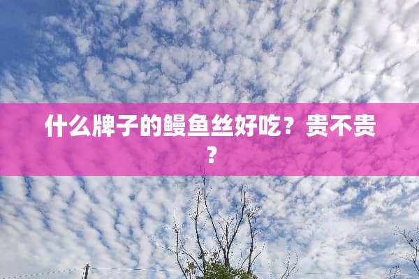 什么牌子的鳗鱼丝好吃？贵不贵？
