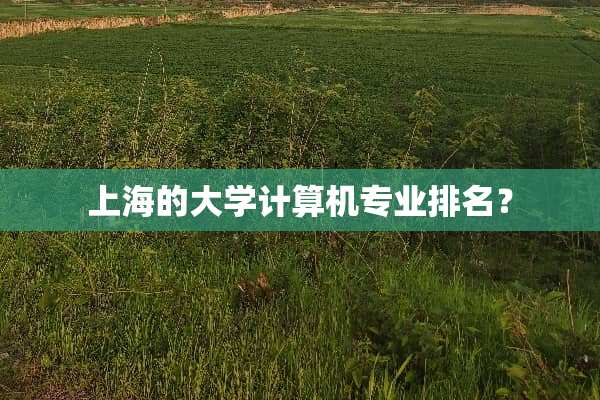 上海的大学计算机专业排名？