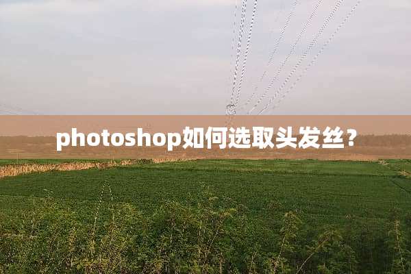 photoshop如何选取头发丝？