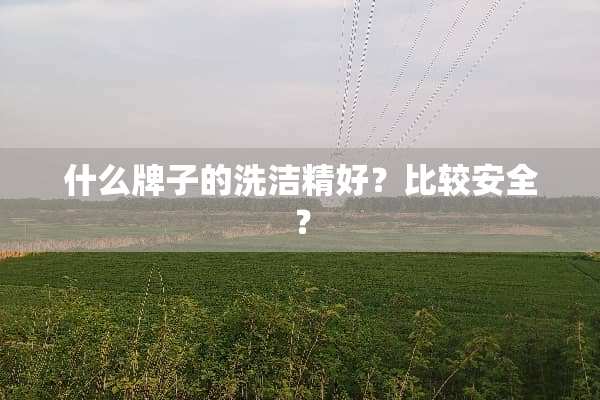 什么牌子的洗洁精好？比较安全？