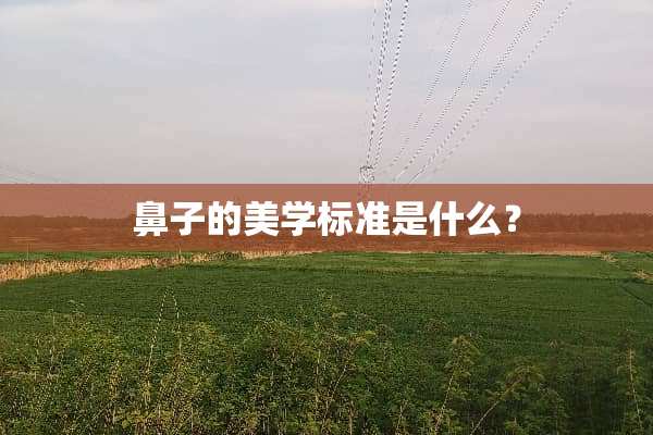 鼻子的美学标准是什么？