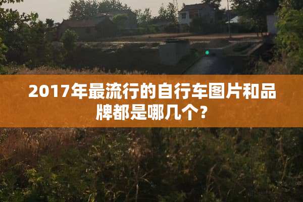 2017年最流行的自行车图片和品牌都是哪几个？