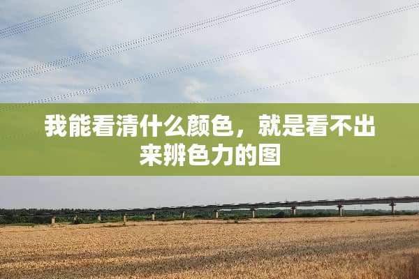 我能看清什么颜色，就是看不出来辨色力的图