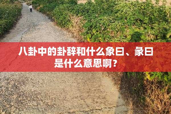 八卦中的卦辞和什么象曰、彖曰是什么意思啊？