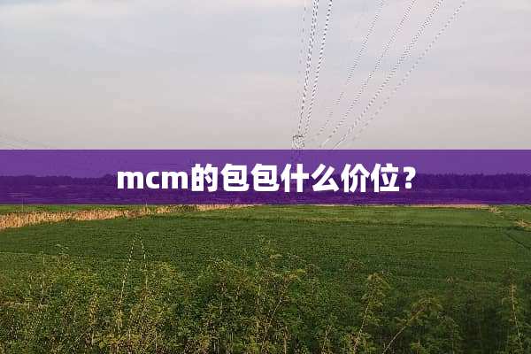 mcm的包包什么价位？