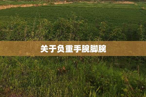 关于负重手腕脚腕