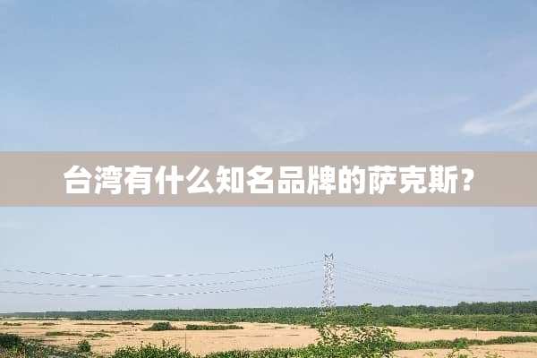 **有什么知名品牌的萨克斯？