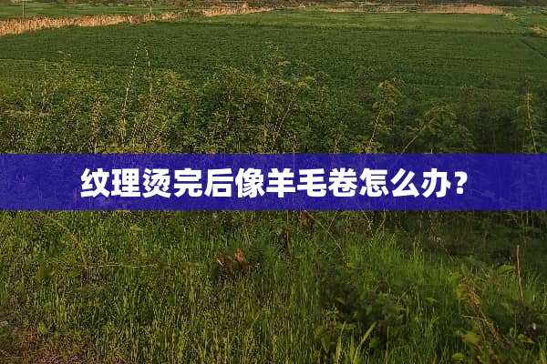 纹理烫完后像羊毛卷怎么办？