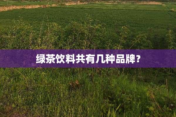 绿茶饮料共有几种品牌？