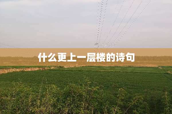 什么更上一层楼的诗句