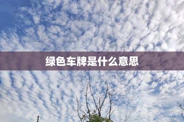绿色车牌是什么意思