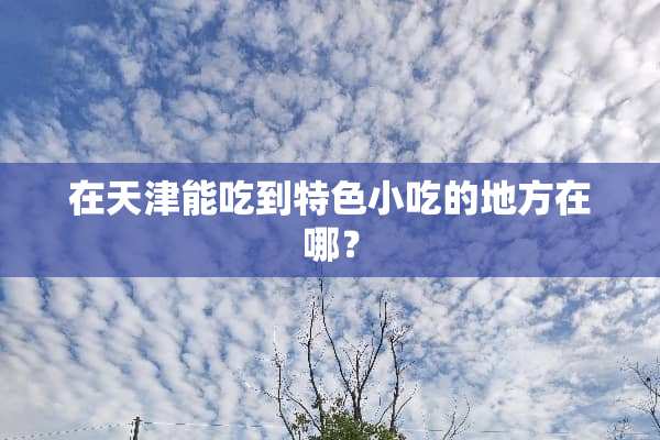 在天津能吃到特色小吃的地方在哪？