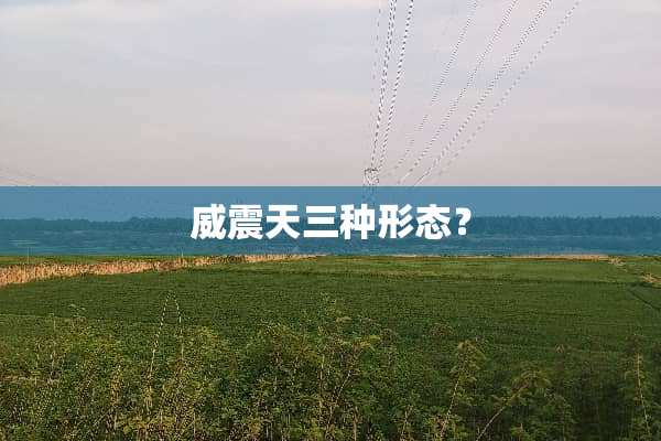 威震天三种形态？