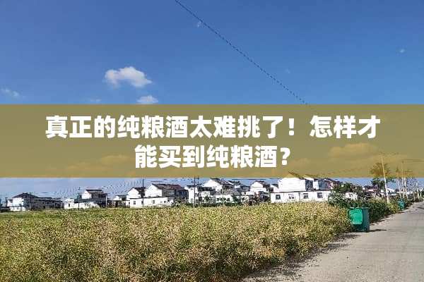 真正的纯粮酒太难挑了！怎样才能买到纯粮酒？