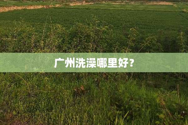 广州洗澡哪里好？