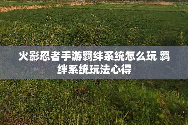 火影忍者手游羁绊系统怎么玩 羁绊系统玩法心得