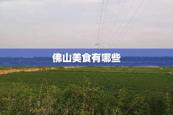 佛山美食有哪些