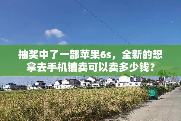 抽奖中了一部苹果6s，全新的想拿去手机铺卖可以卖多少钱？