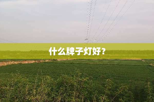什么牌子灯好？