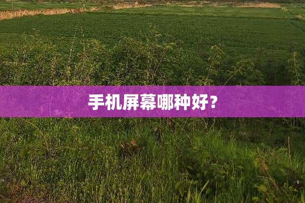 手机屏幕哪种好？