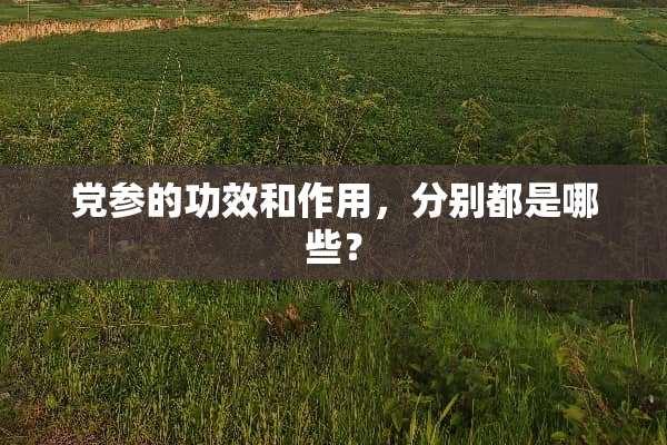 党参的功效和作用，分别都是哪些？