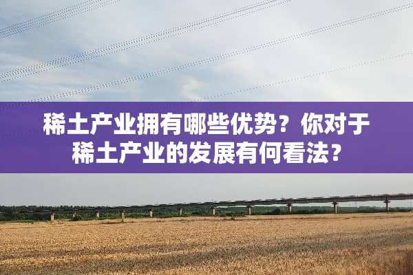 **产业拥有哪些优势？你对于**产业的发展有何看法？