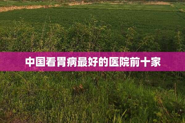 中国看胃病最好的医院前十家