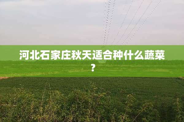 河北石家庄秋天适合种什么蔬菜？