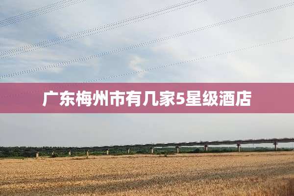 广东梅州市有几家5星级酒店