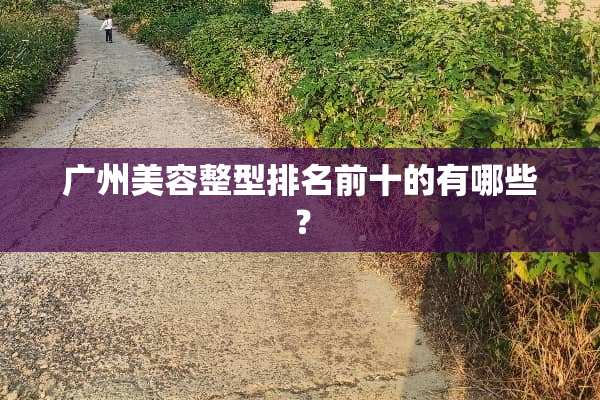 广州美容整型排名前十的有哪些？