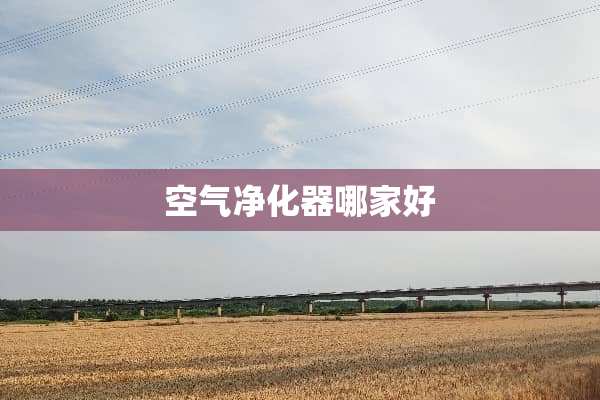 空气净化器哪家好