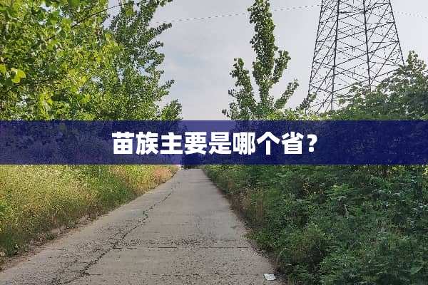 苗族主要是哪个省？