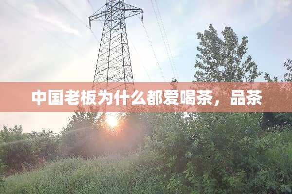 中国老板为什么都爱喝茶，品茶