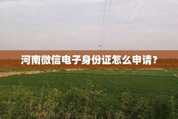 河南微信电子***怎么申请？