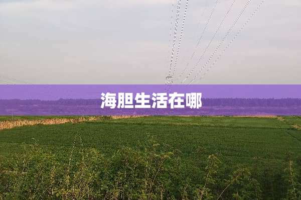 海胆生活在哪