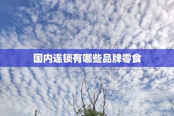 国内连锁有哪些品牌零食