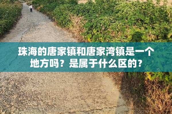 珠海的唐家镇和唐家湾镇是一个地方吗？是属于什么区的？