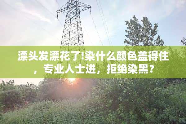 漂头发漂花了!染什么颜色盖得住，专业人士进，拒绝染黑？
