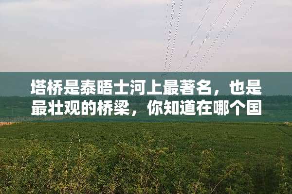 塔桥是泰晤士河上最著名，也是最壮观的桥梁，你知道在哪个国家吗？