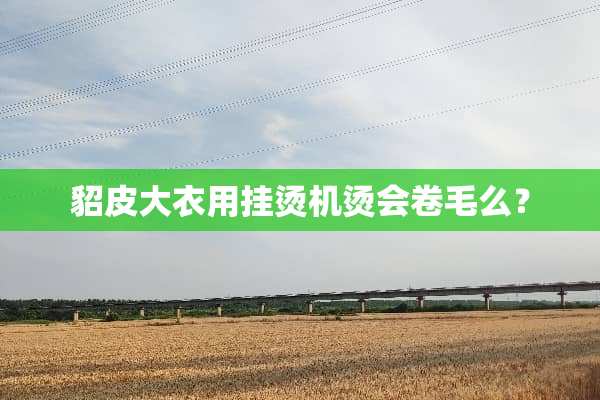 貂皮大衣用挂烫机烫会卷毛么？