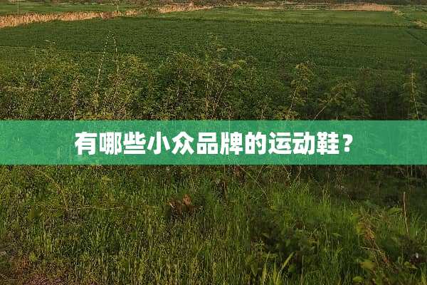 有哪些小众品牌的运动鞋？
