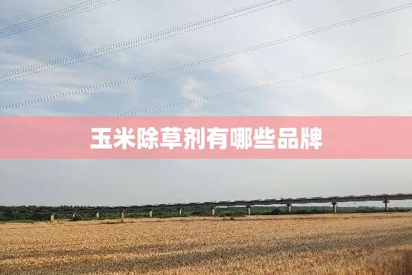玉米除草剂有哪些品牌