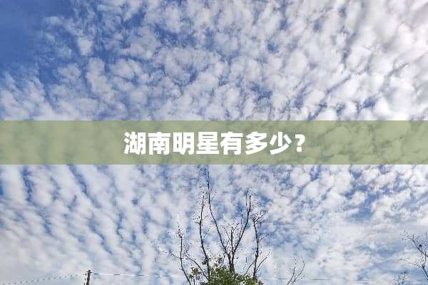 湖南明星有多少？