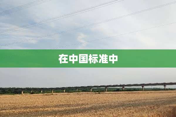 在中国标准中
